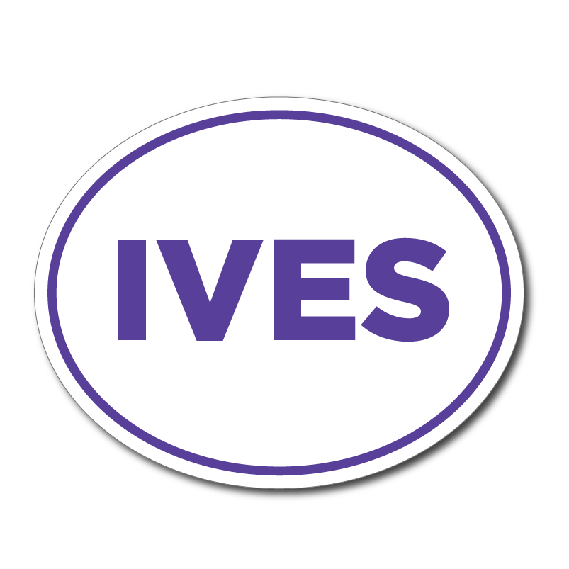 Island Village Elementary Car Magnet