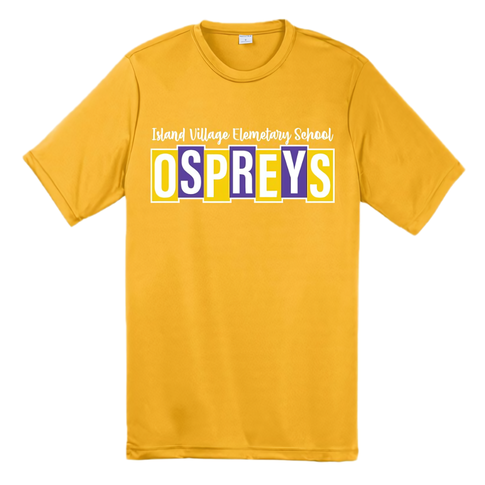 YOUTH Ospreys Dri-Fit Tee