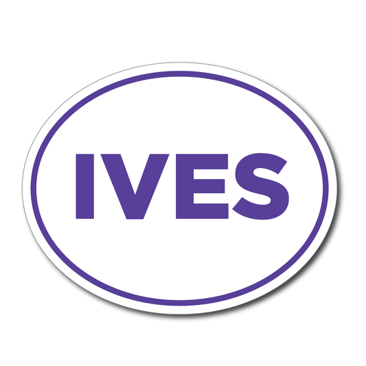 Island Village Elementary Car Magnet